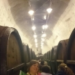 Fin da excursao nas bodegas