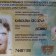 Carnet Nacional de Guia de La Republica Checa con la calificacion en el turismo y de guia turistica = 2o grado del carnet - con la calificacion. El unico valiente desde 2021